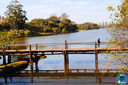 Filename=IMG_0642.jpg
Filesize=412KiB
Dimensions=960x640
Date added=Jul 10, 2018 IMG_0642.jpg