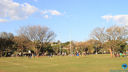 IMG_7804.jpg