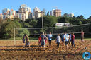 Filename=IMG_8877.jpg
Filesize=423KiB
Dimensions=960x640
Date added=May 22, 2018 IMG_8877.jpg