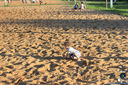 Filename=IMG_6483.jpg
Filesize=494KiB
Dimensions=960x640
Date added=Oct 29, 2018 IMG_6483.jpg