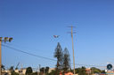 IMG_6486.jpg