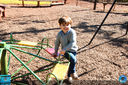 Filename=IMG_3312.jpg
Filesize=472KiB
Dimensions=960x640
Date added=Jun 19, 2018 IMG_3312.jpg