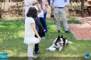 Filename=IMG_3181.jpg
Filesize=398KiB
Dimensions=960x640
Date added=Jul 24, 2018 IMG_3181.jpg