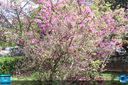 Filename=IMG_6353.jpg
Filesize=706KiB
Dimensions=960x640
Date added=Oct 29, 2018 IMG_6353.jpg
