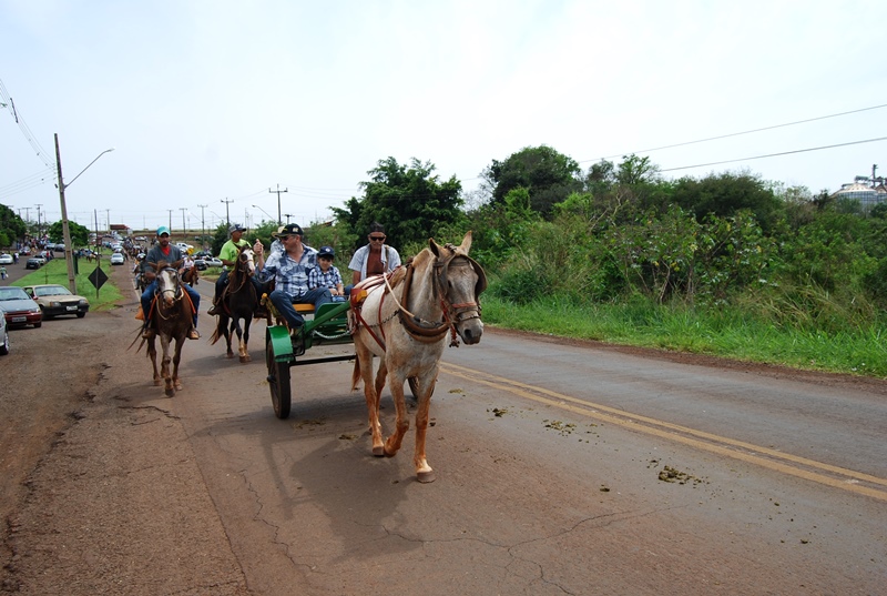 DSC_1905.JPG
