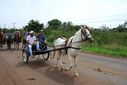 DSC_1882.JPG