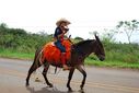Filename=DSC_1889.JPG
Filesize=216KiB
Dimensions=800x537
Date added=Sep 17, 2018 DSC_1889.JPG
