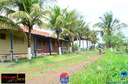 Filename=DSC_6947.jpg
Filesize=343KiB
Dimensions=960x636
Date added=Dec 04, 2019 DSC_6947.jpg