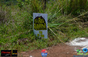 Filename=DSC_6955.jpg
Filesize=376KiB
Dimensions=960x636
Date added=Dec 04, 2019 DSC_6955.jpg