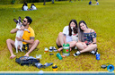 Filename=DSC_3284.jpg
Filesize=492KiB
Dimensions=960x636
Date added=Jan 09, 2020 DSC_3284.jpg