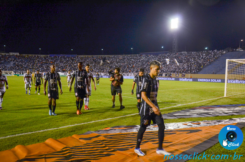 DSC_8511.jpg