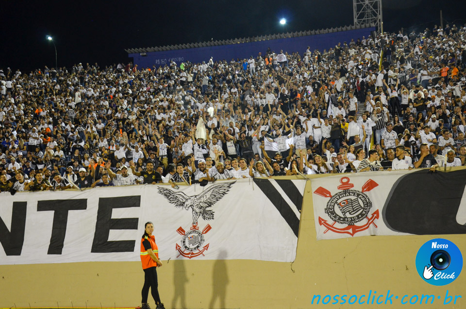 DSC_8554.jpg