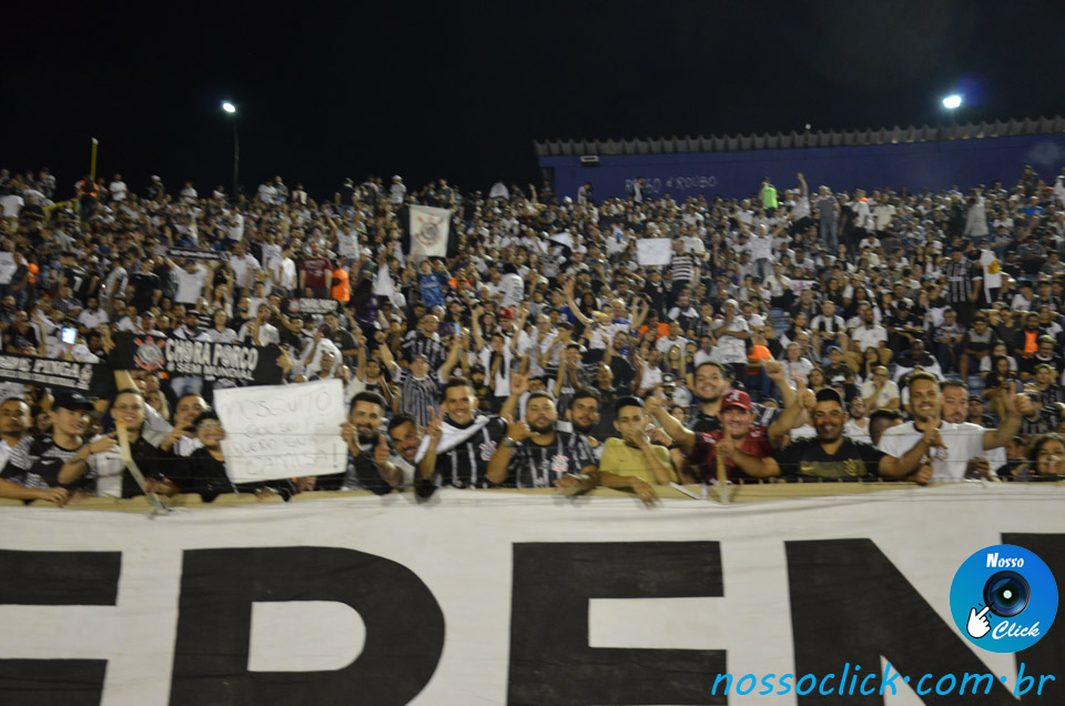 DSC_8565.jpg