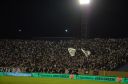 DSC_8494.jpg