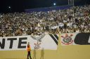 DSC_8554.jpg