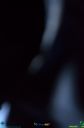 Filename=PDSC_0127.jpg
Filesize=86KiB
Dimensions=636x960
Date added=Aug 01, 2022 PDSC_0127.jpg