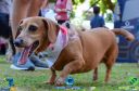 Filename=DSC_9749.jpg
Filesize=167KiB
Dimensions=960x636
Date added=May 02, 2022 DSC_9749.jpg