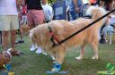 Filename=DSC_9751.jpg
Filesize=260KiB
Dimensions=960x636
Date added=May 02, 2022 DSC_9751.jpg