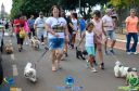 Filename=DSC_9893.jpg
Filesize=263KiB
Dimensions=960x636
Date added=May 02, 2022 DSC_9893.jpg