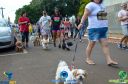 Filename=DSC_9894.jpg
Filesize=238KiB
Dimensions=960x636
Date added=May 02, 2022 DSC_9894.jpg