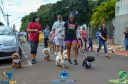 Filename=DSC_9895.jpg
Filesize=245KiB
Dimensions=960x636
Date added=May 02, 2022 DSC_9895.jpg
