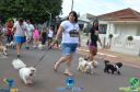 Filename=DSC_9896.jpg
Filesize=199KiB
Dimensions=960x636
Date added=May 02, 2022 DSC_9896.jpg