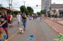 Filename=DSC_9898.jpg
Filesize=228KiB
Dimensions=960x636
Date added=May 02, 2022 DSC_9898.jpg