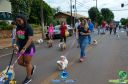 Filename=DSC_9899.jpg
Filesize=230KiB
Dimensions=960x636
Date added=May 02, 2022 DSC_9899.jpg