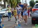 Filename=DSC_9906.jpg
Filesize=259KiB
Dimensions=960x720
Date added=May 02, 2022 DSC_9906.jpg