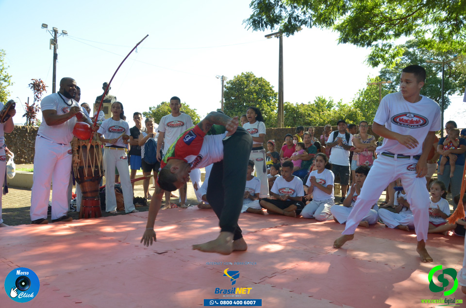 DSC_1013.jpg