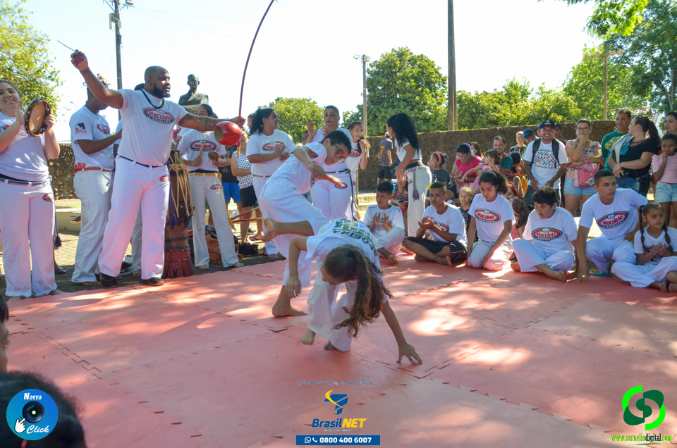 DSC_1062.jpg