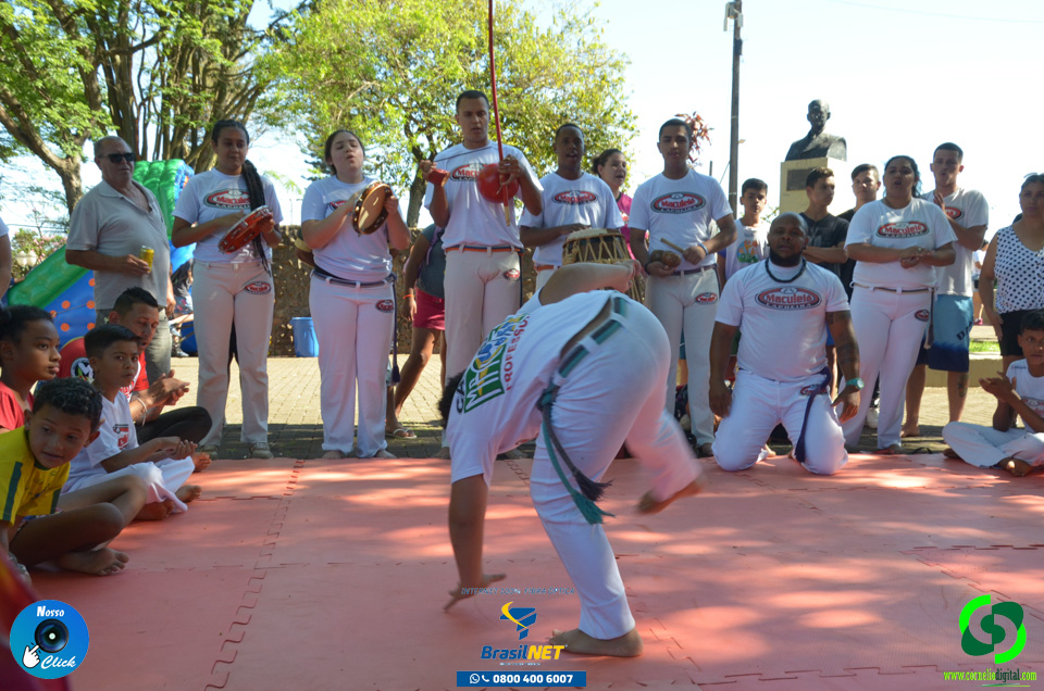 DSC_1235.jpg