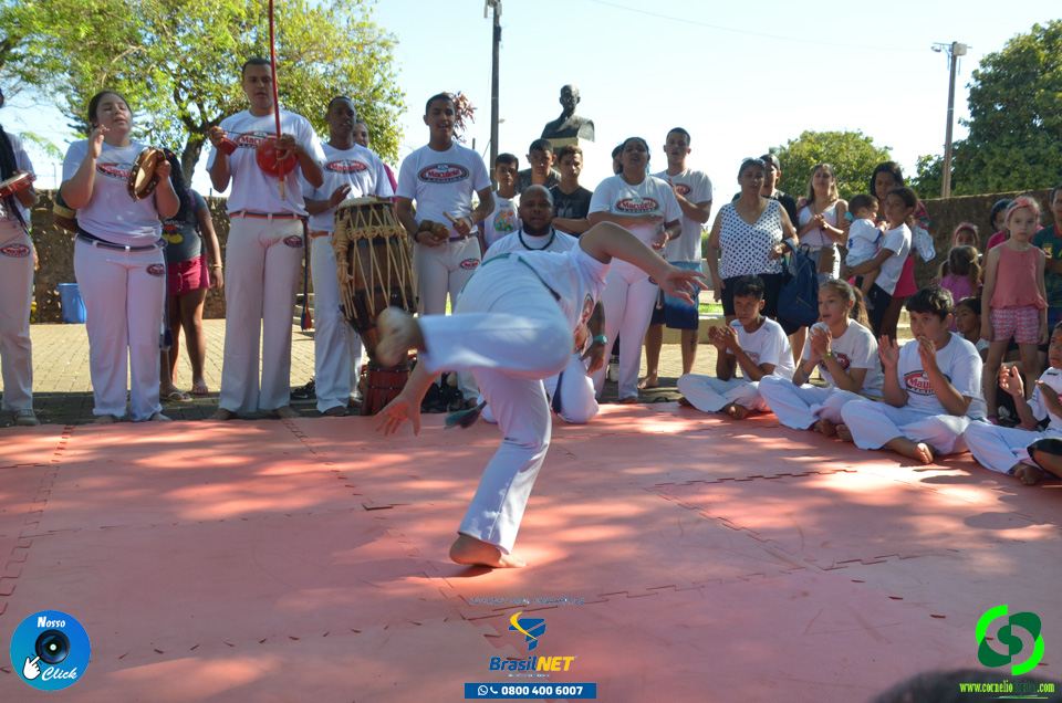 DSC_1238.jpg