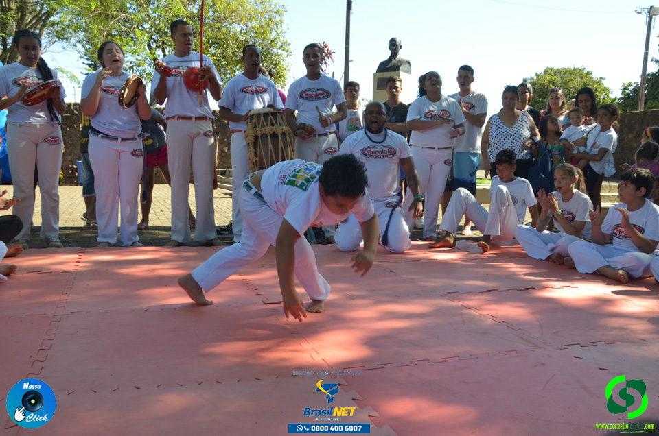 DSC_1243.jpg