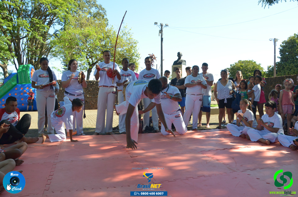 DSC_1262.jpg
