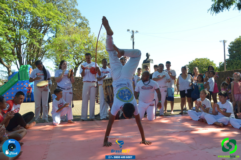 DSC_1263.jpg