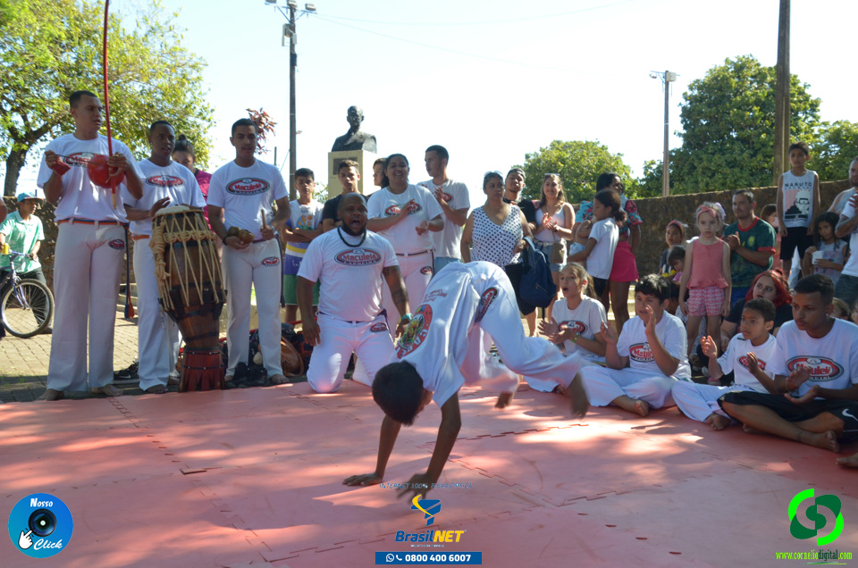 DSC_1271.jpg
