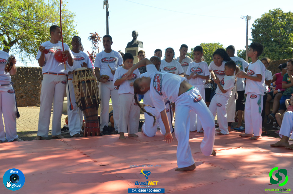 DSC_1375.jpg