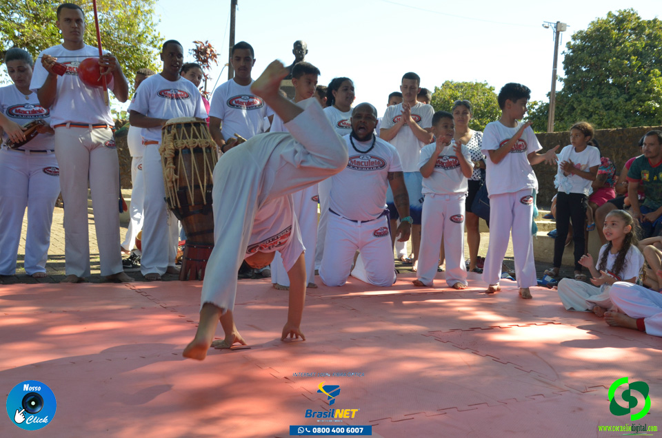 DSC_1413.jpg