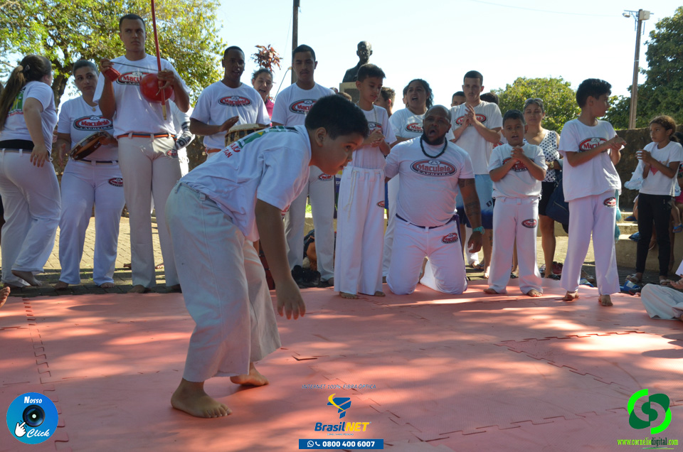 DSC_1414.jpg