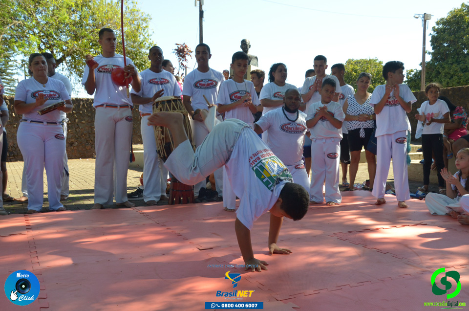 DSC_1415.jpg