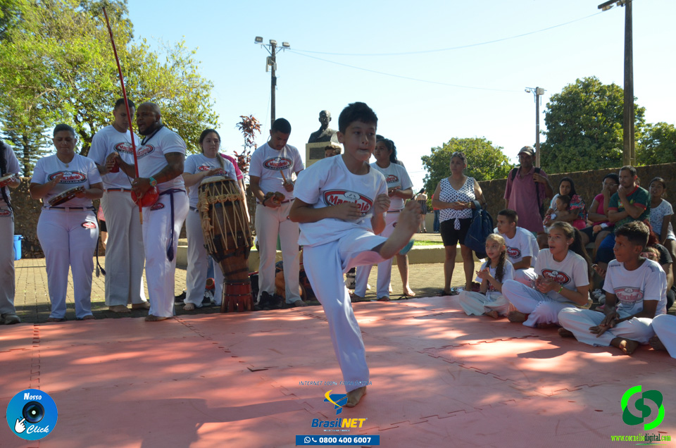 DSC_1442.jpg