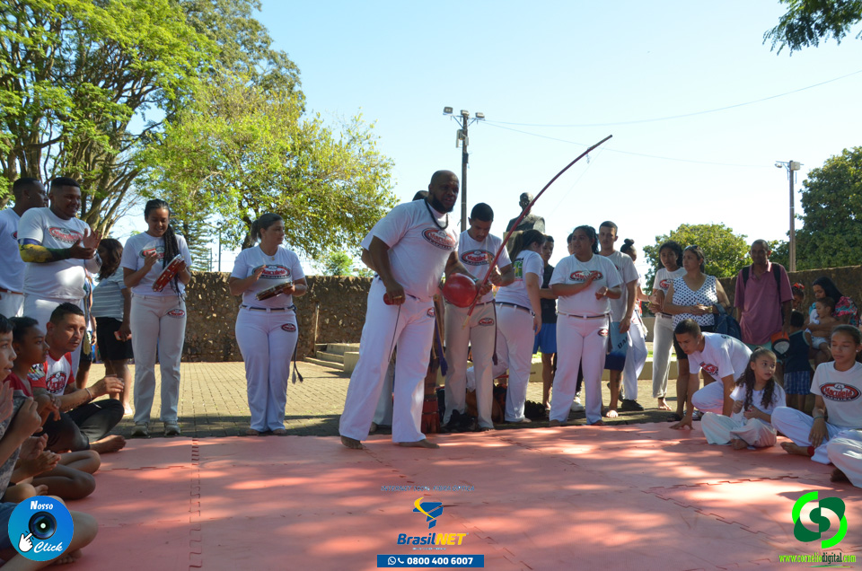 DSC_1446.jpg