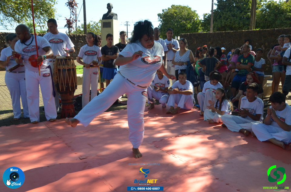 DSC_1485.jpg