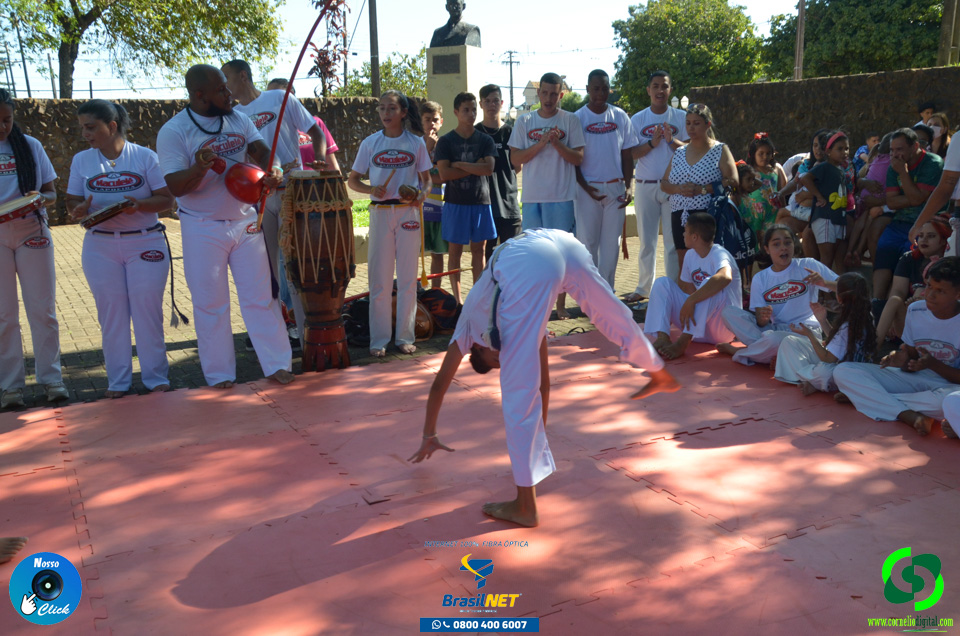DSC_1495.jpg