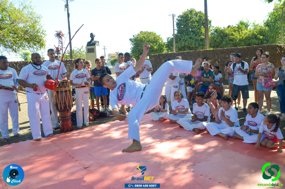 DSC_1516.jpg