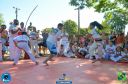 DSC_1035.jpg