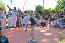 DSC_1061.jpg