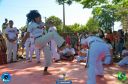 DSC_1077.jpg