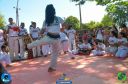 DSC_1082.jpg